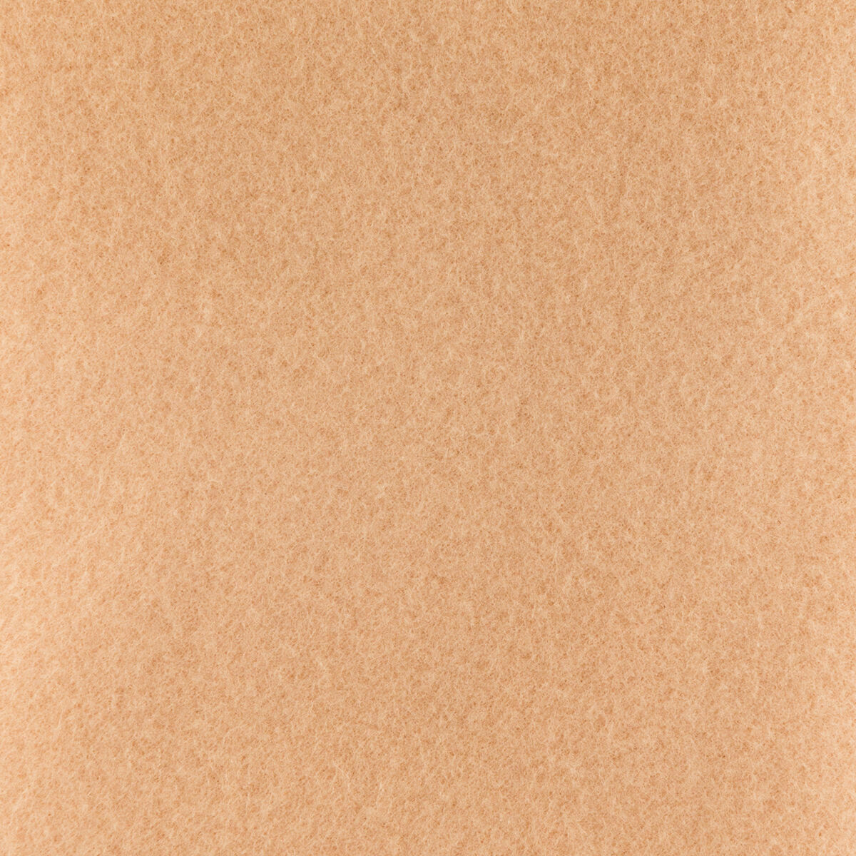 V0101230_2